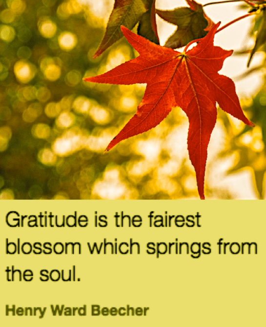 Screen Shot 2018-11-09 at 10.45.36 PM.png