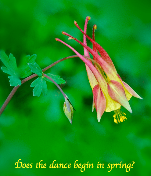 Screen Shot 2018-11-11 at 5.42.20 PM.png