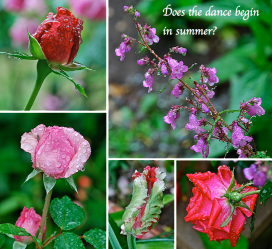 Screen Shot 2018-11-11 at 5.44.54 PM.png