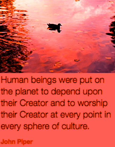 Screen Shot 2018-11-11 at 6.03.40 PM.png