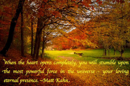 Screen Shot 2018-11-13 at 8.25.00 PM.png