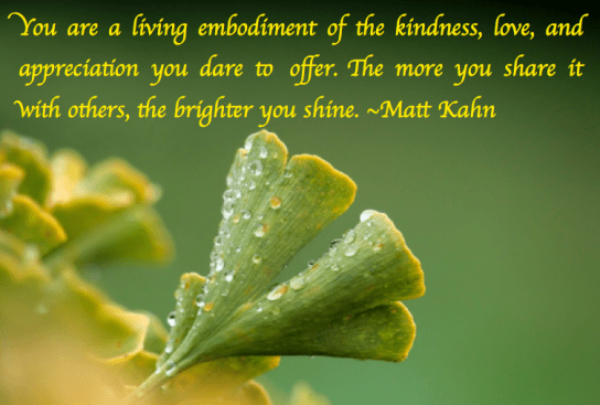 Screen Shot 2018-11-13 at 8.27.52 PM.png