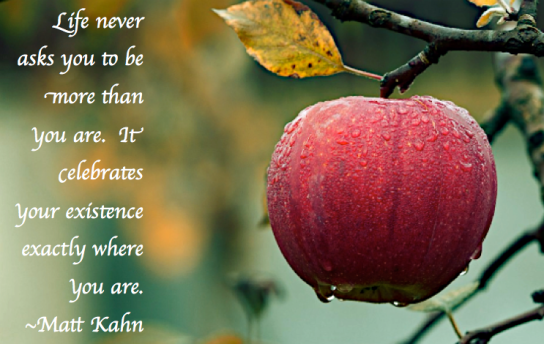 Screen Shot 2018-11-13 at 8.39.14 PM.png