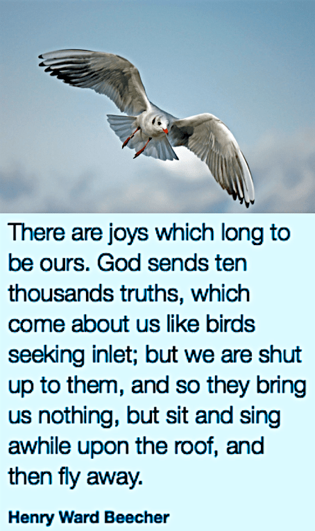 Screen Shot 2018-11-16 at 10.24.40 PM.png