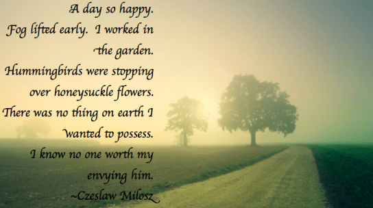 Screen Shot 2018-11-16 at 10.30.07 PM.png