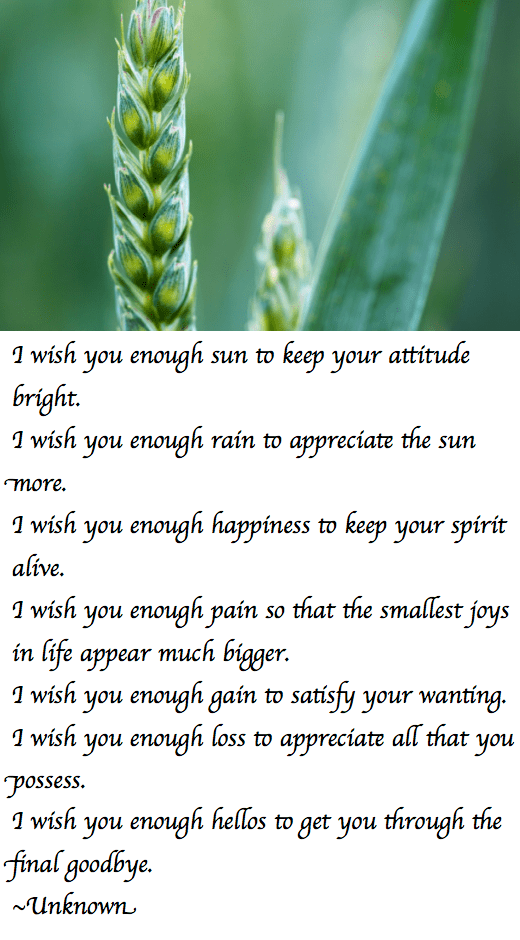 Screen Shot 2018-11-16 at 10.33.51 PM.png