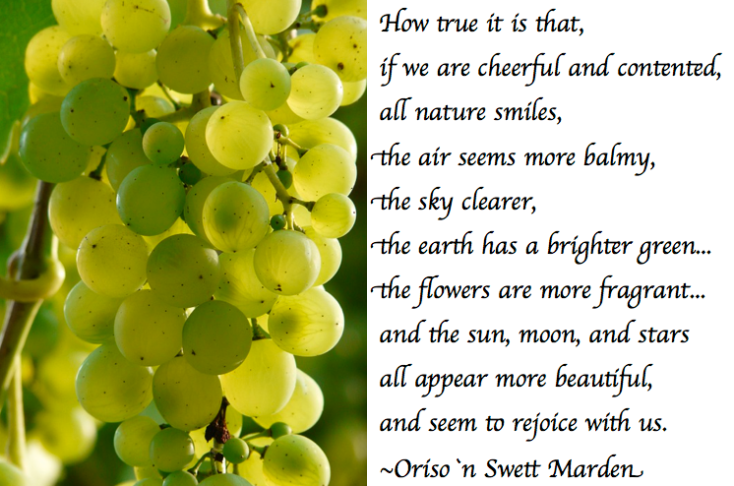 Screen Shot 2018-11-16 at 10.43.03 PM.png