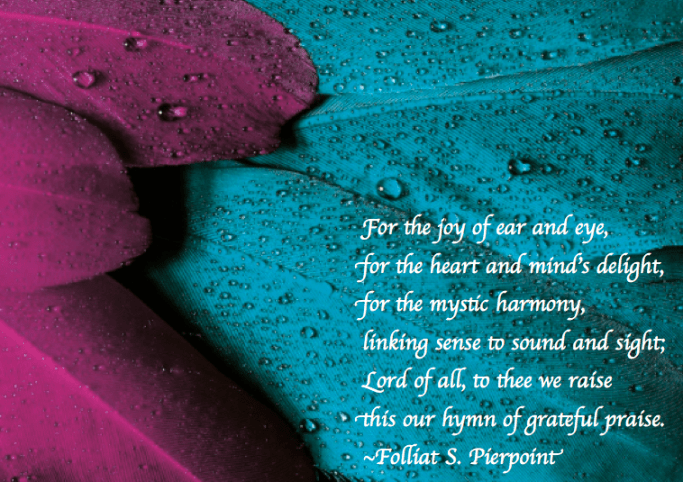 Screen Shot 2018-11-16 at 10.45.53 PM.png