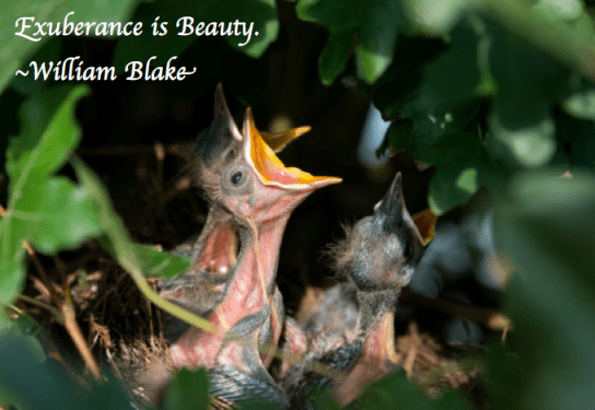 Screen Shot 2018-11-16 at 10.48.07 PM.png