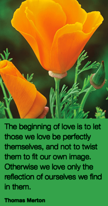 Screen Shot 2018-11-18 at 9.18.57 PM.png