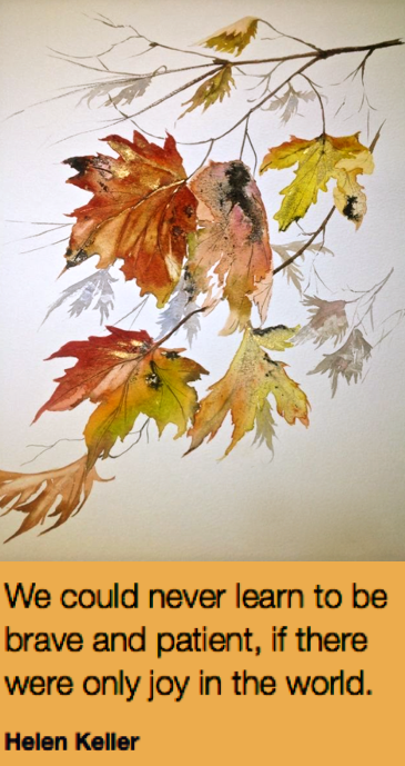 Screen Shot 2018-11-18 at 9.21.18 PM.png