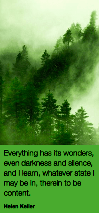 Screen Shot 2018-11-18 at 9.23.31 PM.png