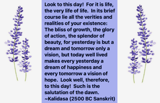 Screen Shot 2018-11-18 at 9.31.39 PM.png