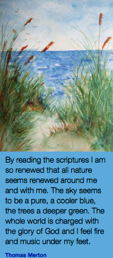 Screen Shot 2018-11-20 at 10.22.18 PM.png