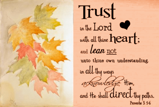 Screen Shot 2018-11-21 at 10.09.33 PM.png