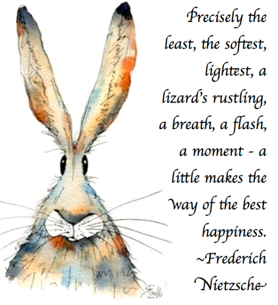 Screen Shot 2018-11-21 at 9.46.33 PM.png