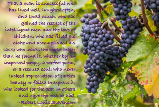 Screen Shot 2018-11-21 at 9.50.35 PM.png