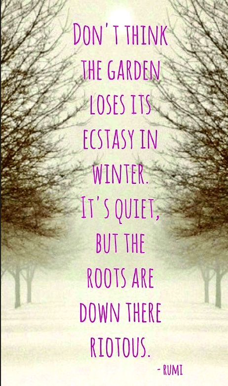 Screen Shot 2018-12-20 at 10.40.16 PM.png