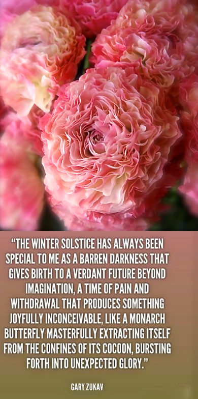 Screen Shot 2018-12-20 at 10.51.36 PM.png