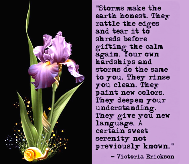 Screen Shot 2018-12-20 at 10.53.18 PM.png