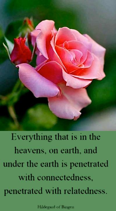 Screen Shot 2018-12-21 at 8.52.04 PM.png