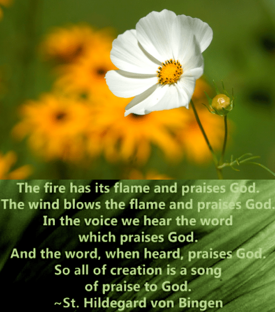 Screen Shot 2018-12-21 at 8.54.55 PM.png