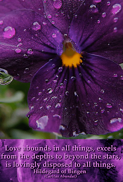 Screen Shot 2018-12-21 at 8.59.18 PM.png