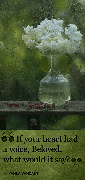 Screen Shot 2018-12-21 at 9.07.08 PM.png