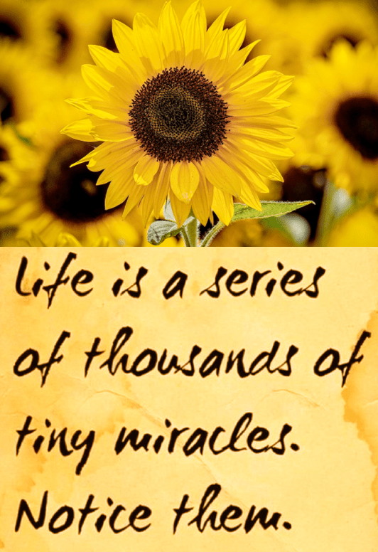 Screen Shot 2018-12-27 at 10.16.12 PM.png