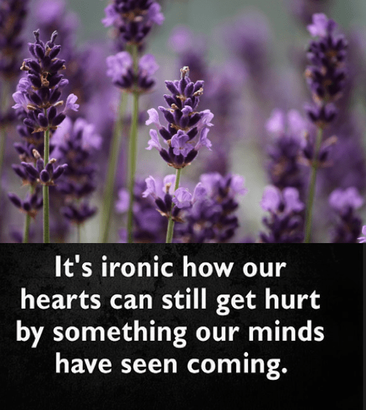 Screen Shot 2018-12-27 at 10.17.32 PM.png