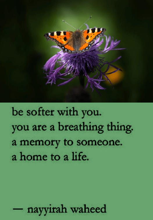 Screen Shot 2018-12-27 at 10.18.46 PM.png