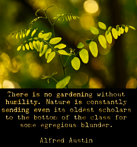 Screen Shot 2018-12-27 at 10.22.44 PM.png