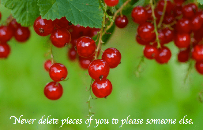 Screen Shot 2018-12-27 at 10.26.32 PM.png