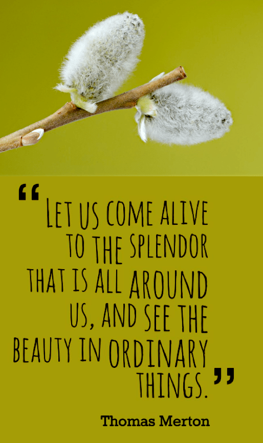 Screen Shot 2018-12-29 at 10.01.19 PM.png