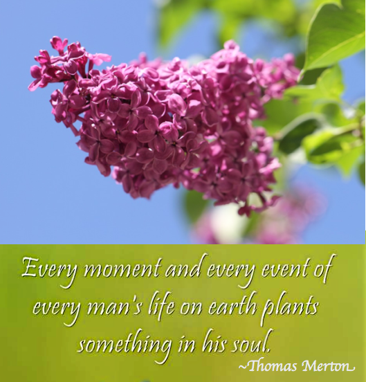 Screen Shot 2018-12-29 at 10.07.01 PM.png