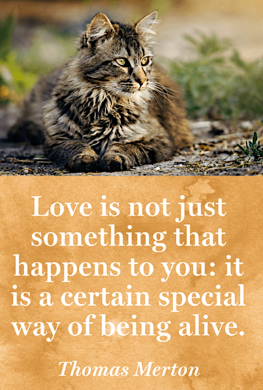 Screen Shot 2018-12-29 at 10.17.26 PM.png