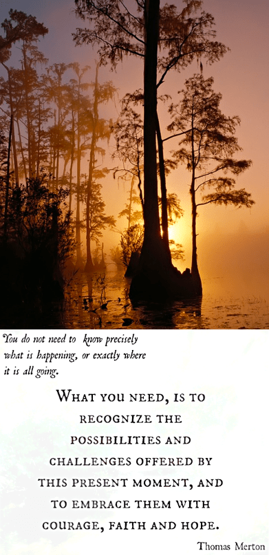 Screen Shot 2018-12-29 at 9.59.07 PM.png