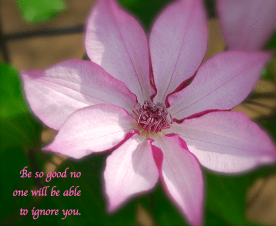 Screen Shot 2018-11-30 at 10.25.21 PM.png