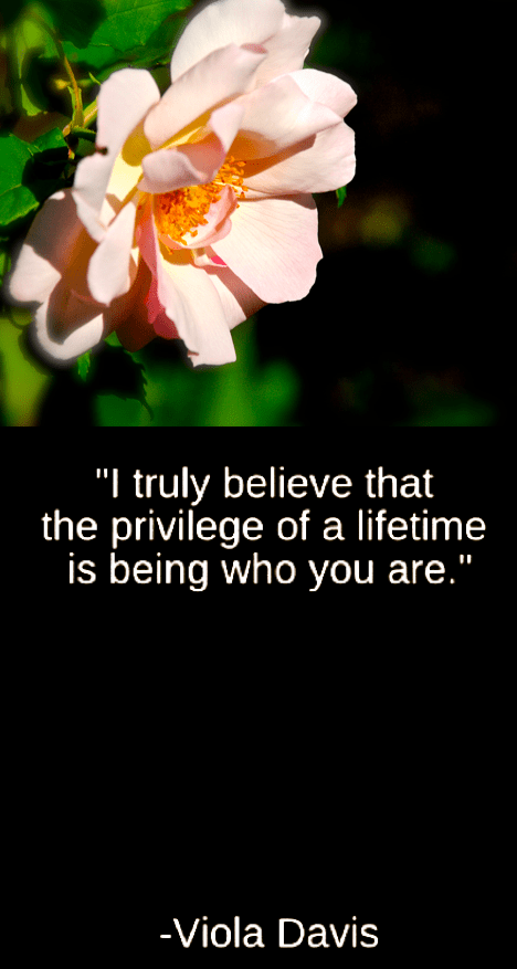 Screen Shot 2018-12-02 at 5.04.30 PM.png