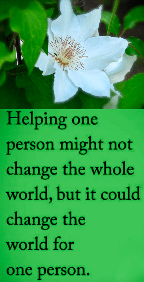 Screen Shot 2018-12-02 at 9.56.17 PM.png