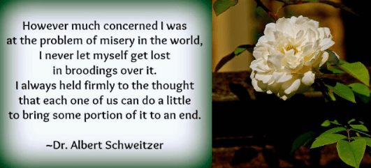 Screen Shot 2018-12-02 at 9.57.50 PM.png