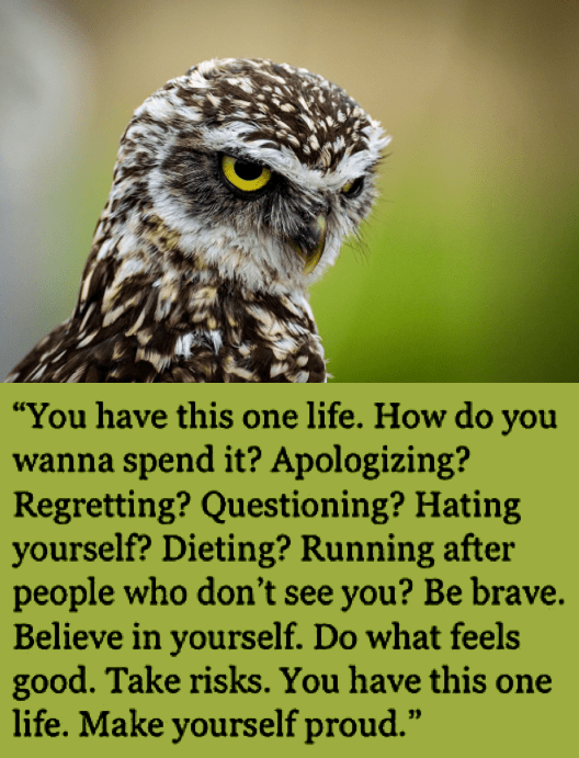 Screen Shot 2018-12-08 at 9.33.17 PM.png