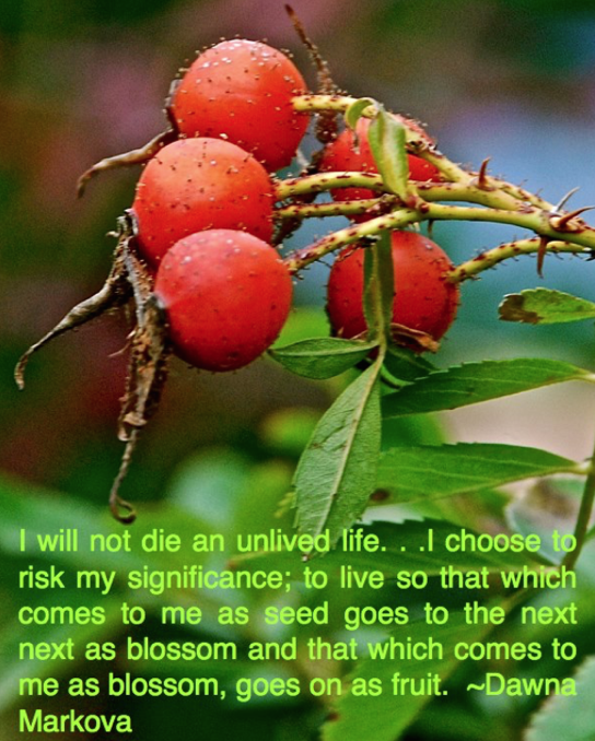 Screen Shot 2018-12-31 at 11.16.34 PM.png