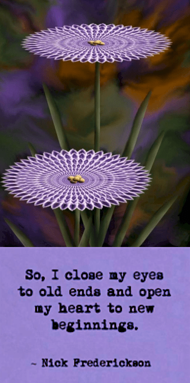 Screen Shot 2018-12-31 at 11.18.59 PM.png