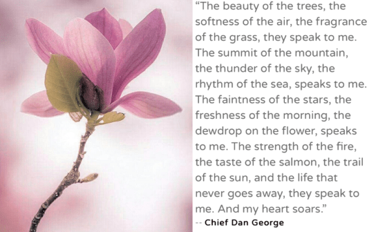 Screen Shot 2019-01-03 at 9.09.23 PM.png