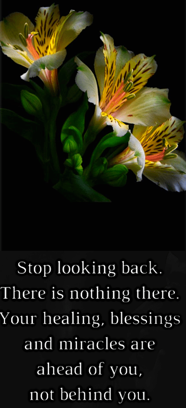 Screen Shot 2019-01-08 at 10.12.42 PM.png