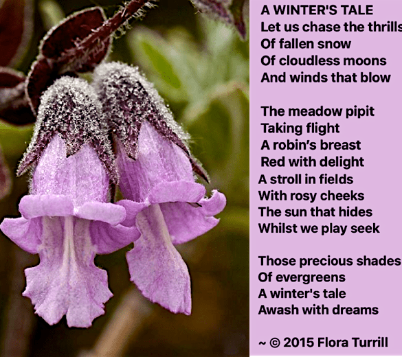 Screen Shot 2019-01-08 at 10.17.27 PM.png