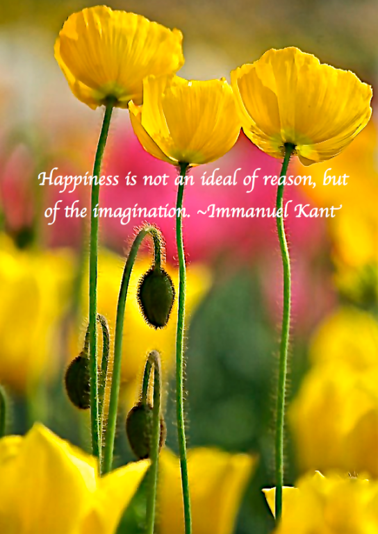 Screen Shot 2019-01-08 at 10.25.16 PM.png