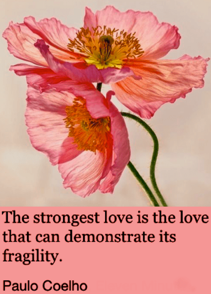 Screen Shot 2019-01-11 at 10.46.00 PM.png