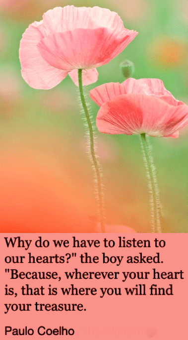 Screen Shot 2019-01-11 at 10.48.26 PM.png